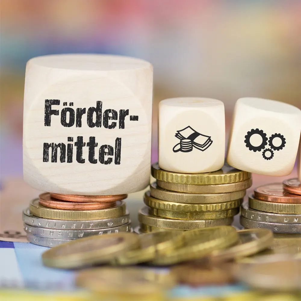 BAFA-Foerderung-einer-Einblasdaemmung